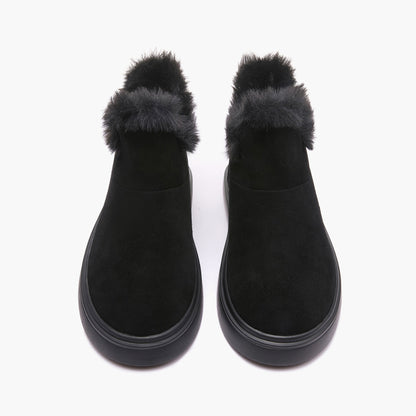 WHITNEY 803-10
